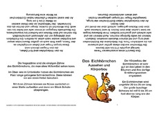 Eichhörnchen-Faltbuch-Aussehen und Körperbau-B.pdf